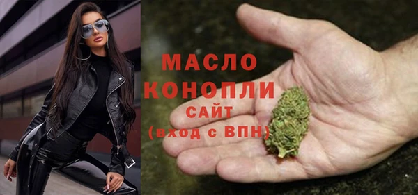 хмурый Белая Холуница