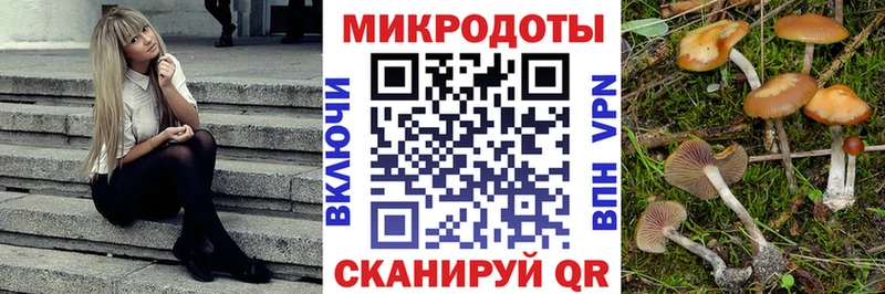 ОМГ ОМГ ссылка  как найти наркотики  Углич  Псилоцибиновые грибы MAGIC MUSHROOMS 